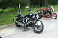 0610_092_Endsite_WarriorBuell.jpg