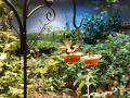 0818_19_ButterflyFeeders.jpg