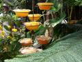 0818_22_MoreButterflyFeeders.jpg
