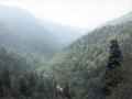 Day12_05_SmokyMountain.jpg