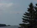 0723_01_EagleinFlight.JPG