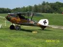 17_Albatros_D_Va.JPG