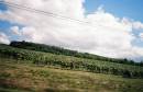12fVineyardAt60mph.JPG