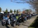 1120_09_StillMoreBikes.JPG