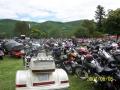 A_Few_Bikes.JPG