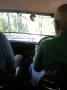 ViewFromthebackseat.jpg