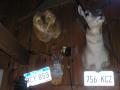 0524_05_WallDecor.jpg