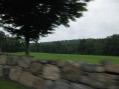 SummerBlur2.jpg