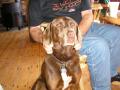 0801_11_Junior.JPG