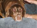 Berkshires_Trip_033.JPG