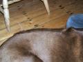 Berkshires_Trip_034.JPG
