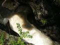 Berkshires_Trip_059.JPG
