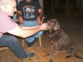 Berkshires_Trip_076.JPG