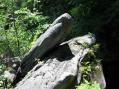 GlacialErratic2.jpg