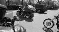 2009ncwingsw001_026.jpg