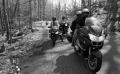 2009ncwingsw004_016.jpg