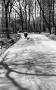 2009ncwingsw004_028.jpg