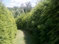 2011-07-09_15-07-37_807.jpg