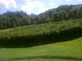 2011-07-09_15-27-47_570.jpg
