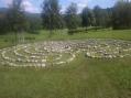 2011-07-09_15-33-29_70.jpg