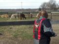 1113_07_DeniseAndAlpaca.jpg