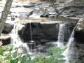 DSCF1678.JPG