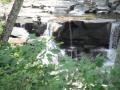 DSCF1679.JPG