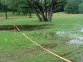 0608_02_ParkingLotSwamp.jpg