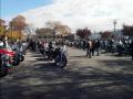 IMG_20131103_111242.jpg