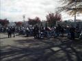 IMG_20131103_111252.jpg