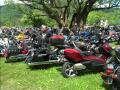 IMG_20140606_112514.jpg