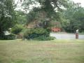 DSCF2660.JPG