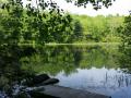0528_24_QuietLittlePond.jpg