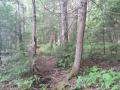 0528_25_HikingTrail.jpg