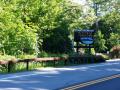 0607_17_TheDepeDene.jpg