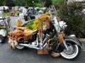 0609_08_RoadkillIndian.jpg