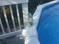 0819_06_PoolGnome.jpg