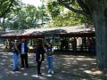 0820_04_ShadedPavilion.jpg