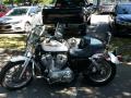 0820_05_SidecarDogs.jpg