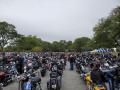 1006_03_AmazingTurnOut.jpg