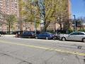 0425_10_ParkWhereYouCan.jpg