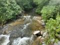 0820_11_BabblingBrook.jpg