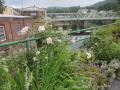 0820_19_BridgeOfFlowers.jpg