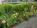 0820_21_BridgeOfFlowers.jpg