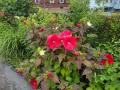 0820_23_BridgeOfFlowers.jpg