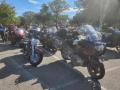 1003_01_WingsBikes.jpg