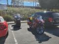 1003_10_LastTwoWingsBikes.jpg