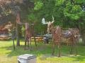 0602_04_AtTheDeuceMoose.jpg