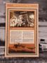 0821_13_FirstAfricanAmericanAviator.jpg