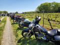 0517_07_DistingusedMotorcycles.jpg